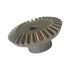 Large Conical Gear for H8600A - Cater-Care
