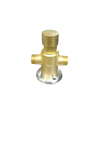 Brass Push Valve