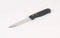 STEAK KNIFE PLASTIC HANDLE 127MM - Cater-Care