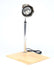 DISPLAY   CARVERY LIGHT ON WOODEN BASE - Cater-Care